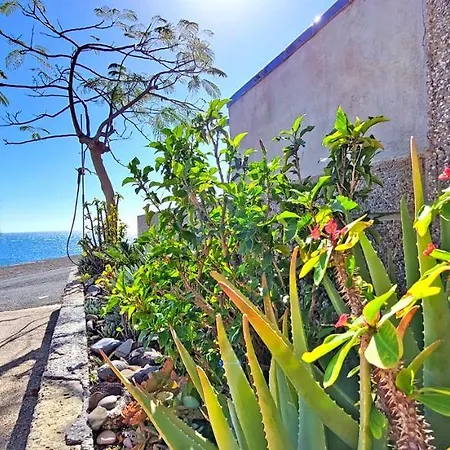 Vista Mar * La Lajita